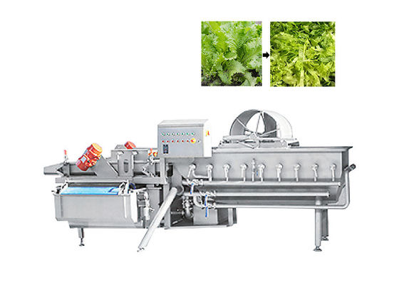 1000 كجم / ساعة آلة قطع الخس الورقية الخضراء للخضروات سلطة الفاكهة