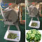تقديم الطعام للمؤسسات قطع الخضار الورقية الخضراء ، آلة قطع البطاطس
