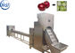 معدات تصنيع البصل الغذاء الصف مسحوق البصل ماكينة 12 - 85kw