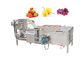 SUS304 Bubble Washing Machine Vegetables and Fruit 500kg / H Food Cleaning Machine