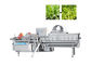1000 كجم / ساعة آلة قطع الخس الورقية الخضراء للخضروات سلطة الفاكهة