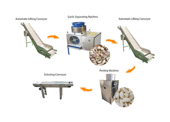 خط إنتاج معالجة الثوم ذو الإنتاج العالي / آلة تقشير الثوم