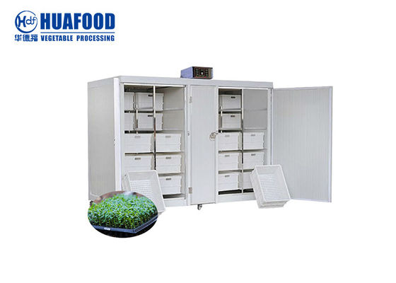 250 كجم / يوم آلات تجهيز الأغذية الأوتوماتيكية Mung Bean Sprout Machine